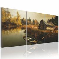 Schilderij - Verlaten Hut, 3luik , bruin groen ,  wanddecoratie , premium print op canvas