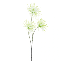 Spider flower spray cream 94 cm kunstbloem Erutan Avon - Erutan avon