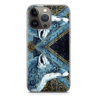 Golden Fox: iPhone 13 Pro Transparant Hoesje