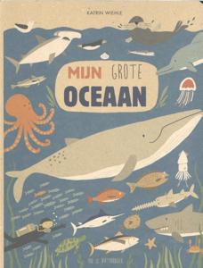 Mijn grote oceaan (Hardback)