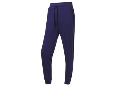 CRIVIT Heren joggingbroek (Blauw, L)