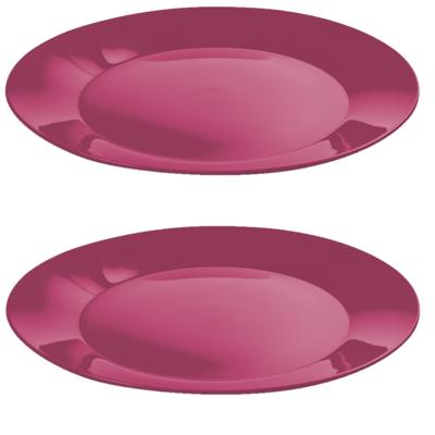 Ontbijtbordjes - 12x st - roze - 21 cm - hard kunststof - dinerborden - camping bordjes