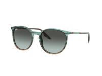 Zonnebrillen Ray-Ban RB2204 1394GK