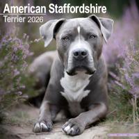 American Staffordshire Terrier Kalender 2026