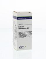 VSM Hydrastis canadensis LM6 (4 gr)