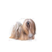 Royal Canin Exigent natvoer hondenvoer zakjes 12x85g - thumbnail