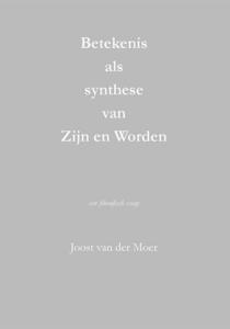 Betekenis als synthese van Zijn en Worden (Paperback)