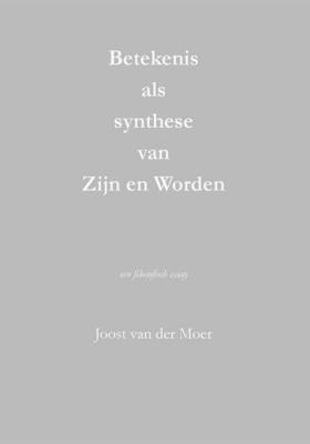 Betekenis als synthese van Zijn en Worden (Paperback)