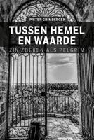 Tussen hemel en waarde - Pieter Grimbergen - ebook