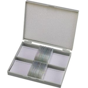 BRESSER Microscoop preparaten 50 stuks - Biologie