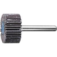 PFERD TOOLS 44415120 Lamellenschijf Diameter 30 mm 10 stuk(s)