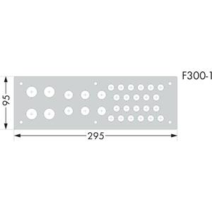 WAGO 850-819/002-001 Flensplaat (b x h) 295 mm x 95 mm 1 stuk(s)