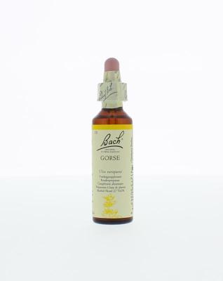 Bach Gorse/gaspeldoorn