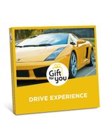 Drive Experience & More