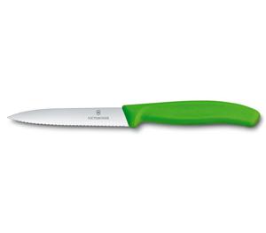 Victorinox SwissClassic 6.7736 Roestvrijstaal Schilmes