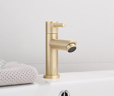Fonteinkraan SaniClear Brass | Opbouw | Koudwater kraan | Standaard model | 1-hendel | Rond | Geborsteld messing - mat goud