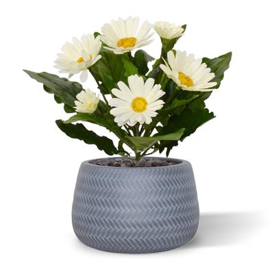 Gerbera Kunstboeket 30 cm creme
