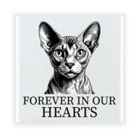 Herdenking cadeau tegel kattenliefhebber - Sphynx kat/poes - zwart/wit - keramiek - 15 cm