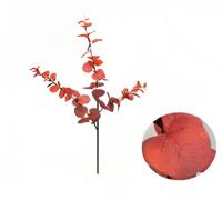 Money leaf tak bruin rood 104 cm - Buitengewoon de boet