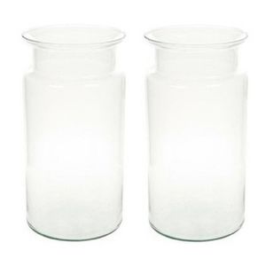 2x Flesvormige vazen glas 30 cm type Bose