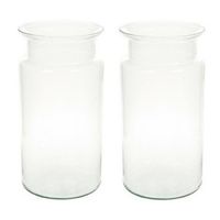 2x Flesvormige vazen glas 30 cm type Bose - thumbnail