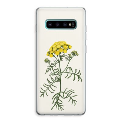Tansy: Samsung Galaxy S10 Plus Transparant Hoesje
