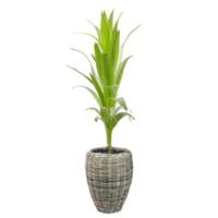 Planten/bloemen mand - rotan - gevlochten riet - D48 x H62 cm - drypot - plantenpot