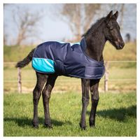 Harry's Horse TwoTone Veulendeken donkerblauw maat:65