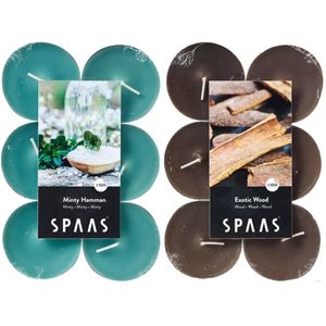 Candles by Spaas geurkaarsen - 24x stuks in 2 geuren Mint en Exotic wood