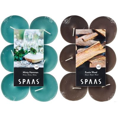 Candles by Spaas geurkaarsen - 24x stuks in 2 geuren Mint en Exotic wood