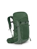 Osprey Talon 33 Backpack Heren Green Canopy/Pine Leaf 33L