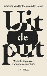 Uit de put - Godfried van Benthem van den Bergh - ebook