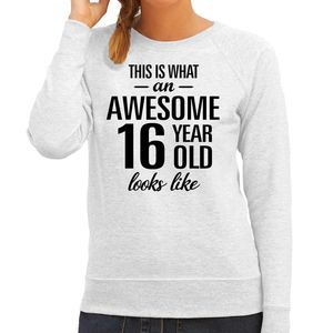 Awesome 16 year / 16 jaar cadeau sweater / trui grijs dames