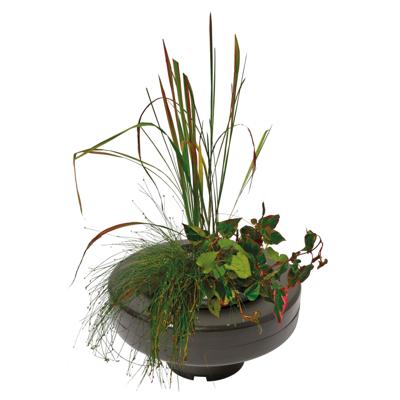 Superfish Drijvende Plantenmand Ø 30cm - Schaduw & Decoratie voor Koi- en Vijvers