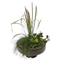 Superfish Drijvende Plantenmand Ø 30cm - Schaduw & Decoratie voor Koi- en Vijvers