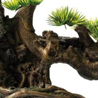 Sf deco bonsai face xxl - Superfish