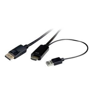 ROLINE 11.04.5991 video kabel adapter 1 m HDMI + USB DisplayPort Zwart