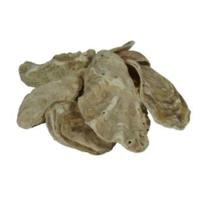 Air Aqua Oesterschelpen 5kg - Duurzaam Vijveronderhoud voor Evenwichtige pH & KH Waarden