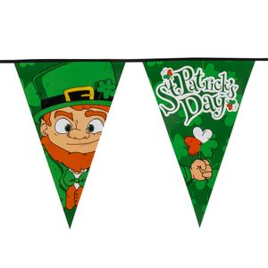 St Patricks Day vlaggenlijn slinger 8 meter