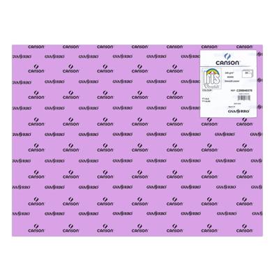 Fiches Iris Lila 50 x 65 cm