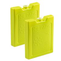 Plasticforte Koelelementen - 8x stuks - 260 grams - 13 x 10 cm - groen - kunststof