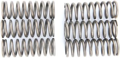 TRW Clutch spring kit mef152-6