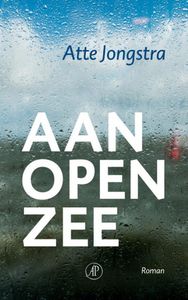 Atte  Jongstra Aan open zee