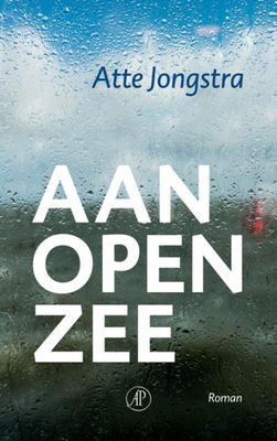 Atte  Jongstra Aan open zee