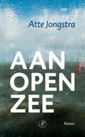 Atte  Jongstra Aan open zee - thumbnail