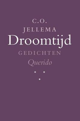 Droomtijd (Paperback)