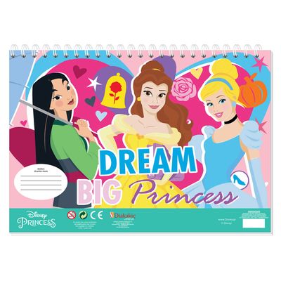 Disney prinses kleurplaten met stencil en stickervel