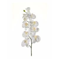 Witte vlinderorchidee kunstbloem 100 cm - thumbnail