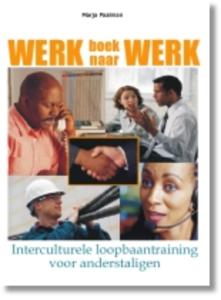 Werkboek naar werk (Paperback)