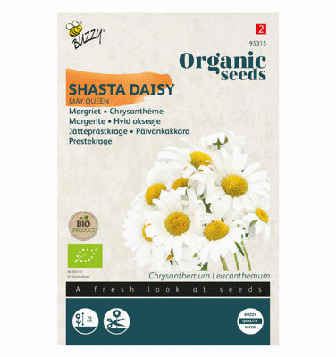 Zaden chrysanthemum may queen 0.25 gram - Tuinplus